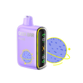 Meta Moon