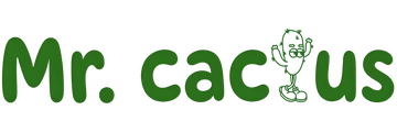 Mr Cactus